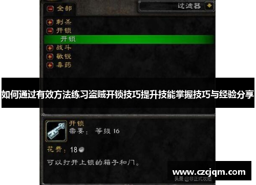 如何通过有效方法练习盗贼开锁技巧提升技能掌握技巧与经验分享